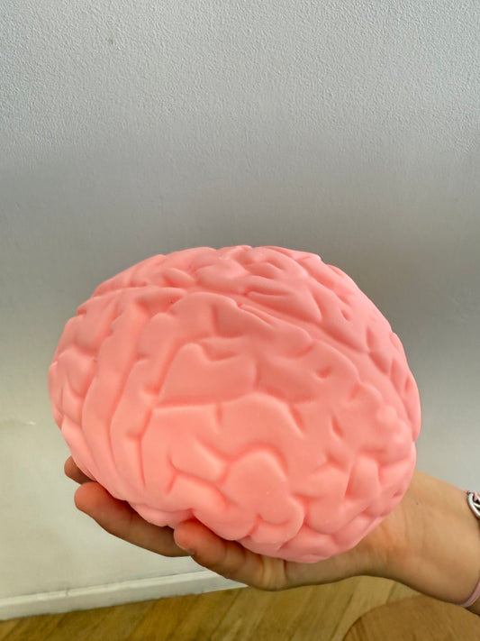 Squishy XXL cerveau