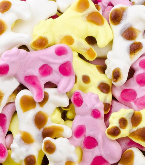 Vache au lait trolli