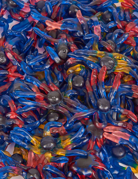 araignée Trolli lisse